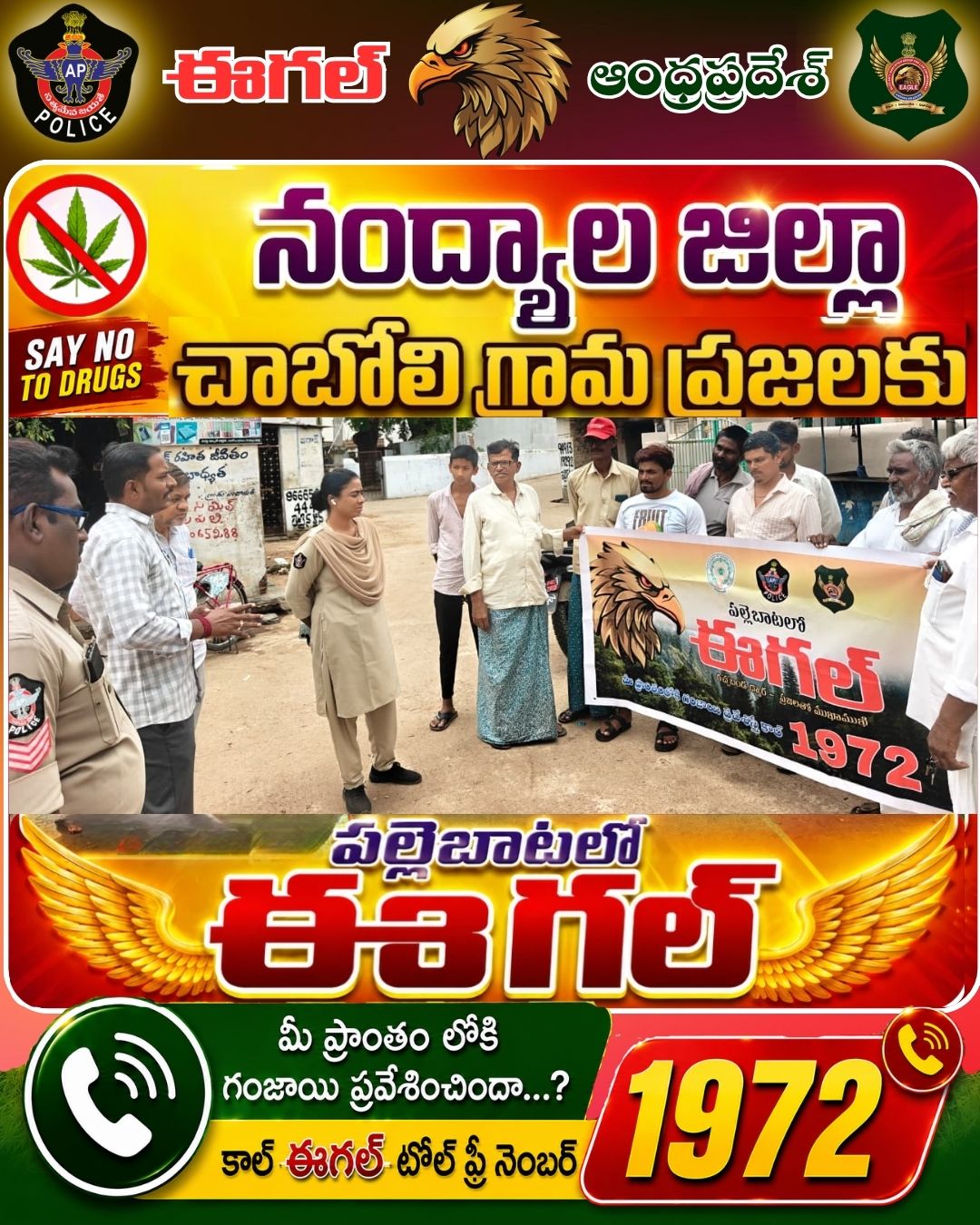 Events and Campaigns