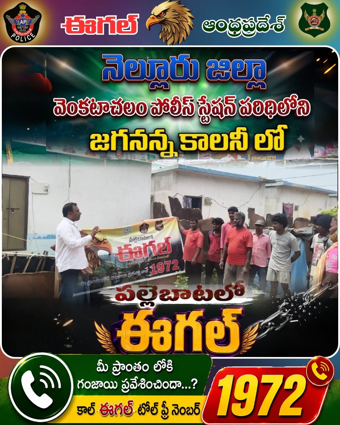 Events and Campaigns