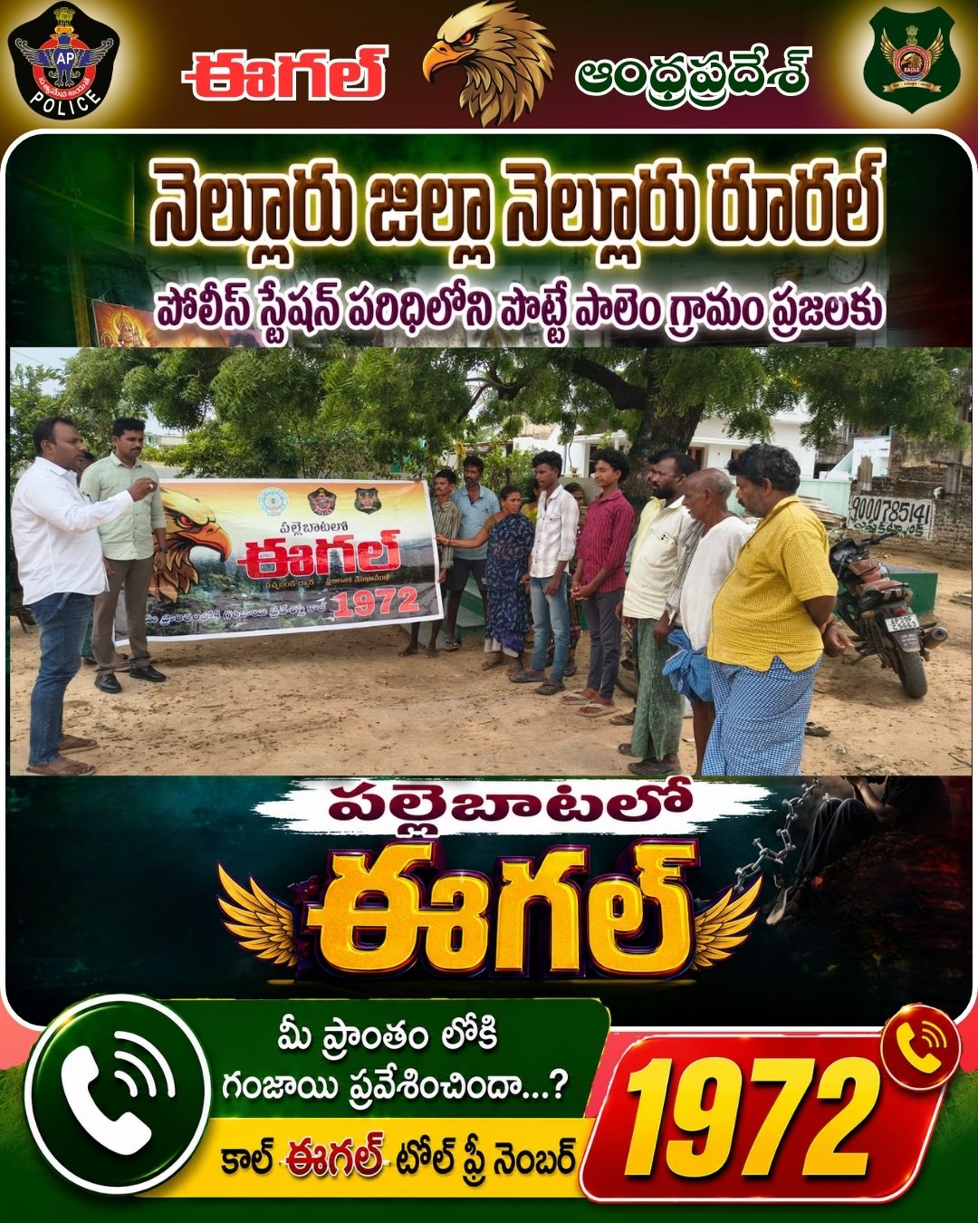 Events and Campaigns